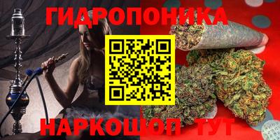 дмт Канаш