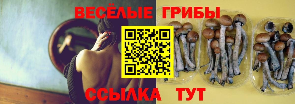 Лянтор  Псилоцибиновые грибы GOLDEN TEACHER  Псилоцибиновые грибы мицелий  Вход с VPN 